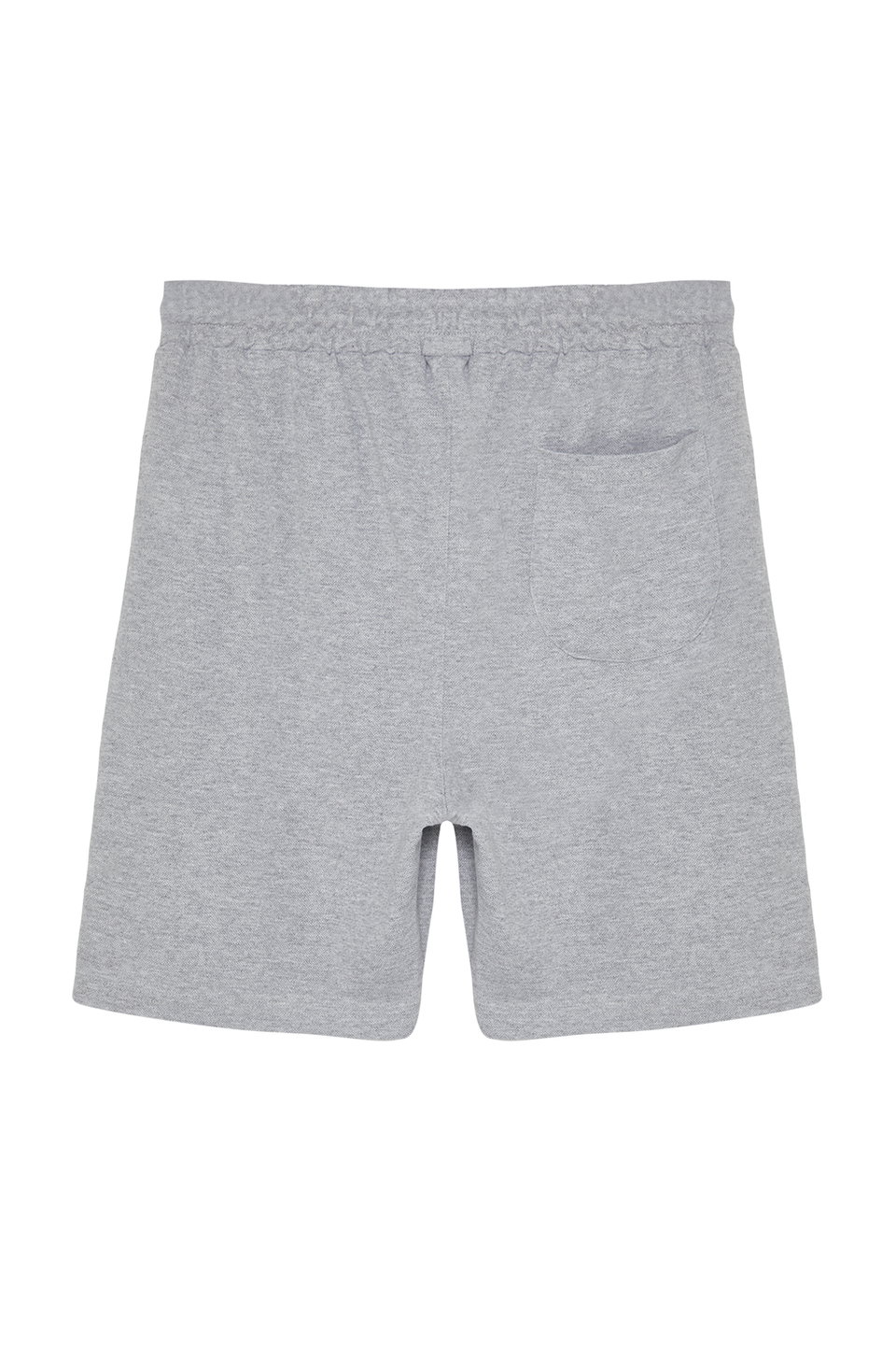 Regular/Normal Cut Basic Shorts & Bermuda TMNSS20SR0169