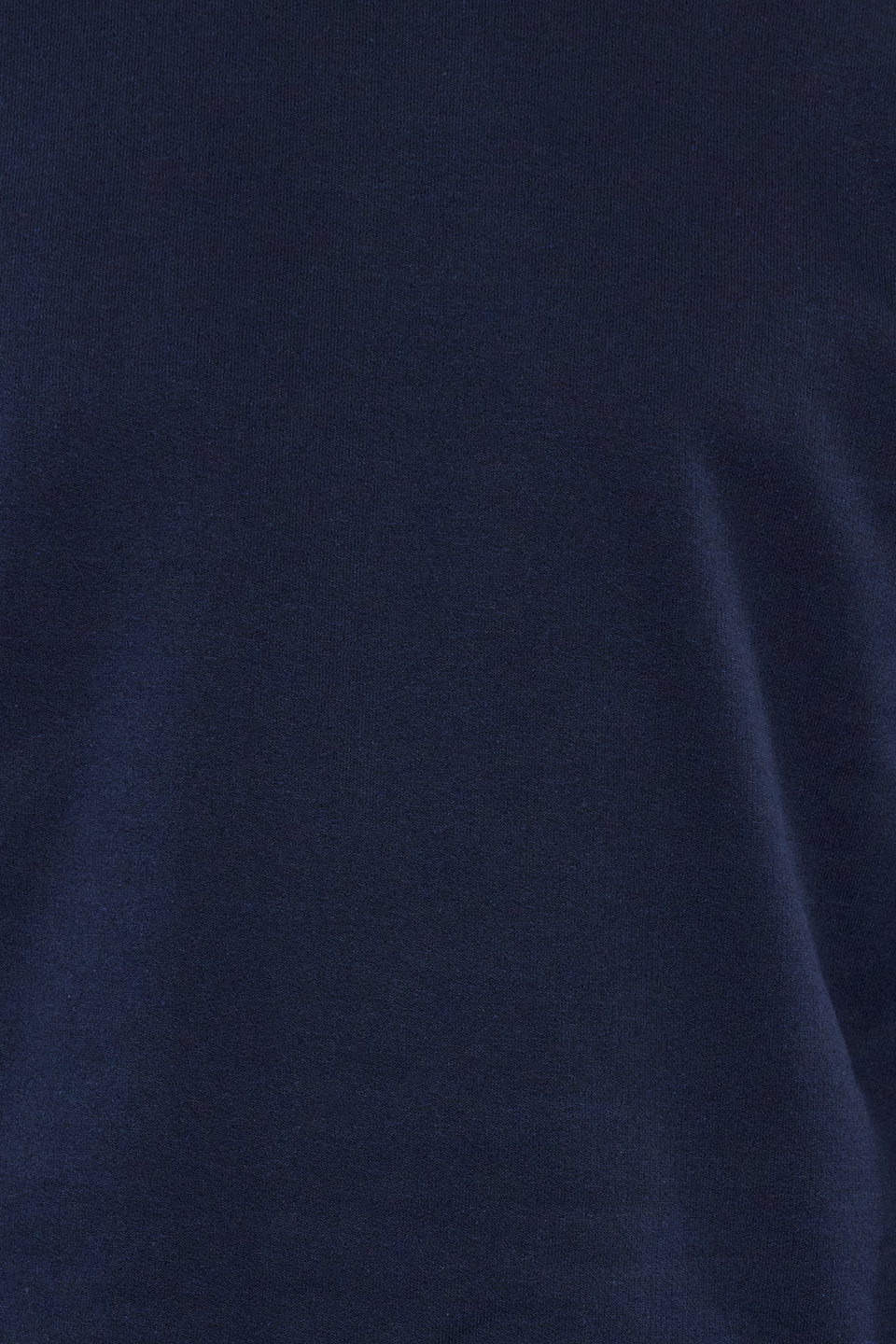 Regular/Normal Cut Fleece Inside/Warm Sweatshirt TMNAW21SW1208