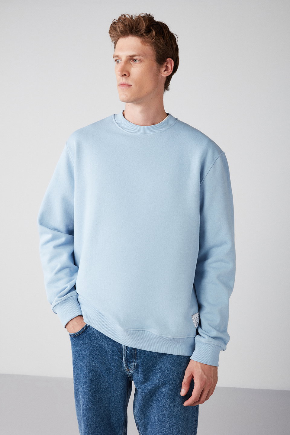 Travis Men's Organic Fabric Soft Regular Fit Round Neck Sweatshirt