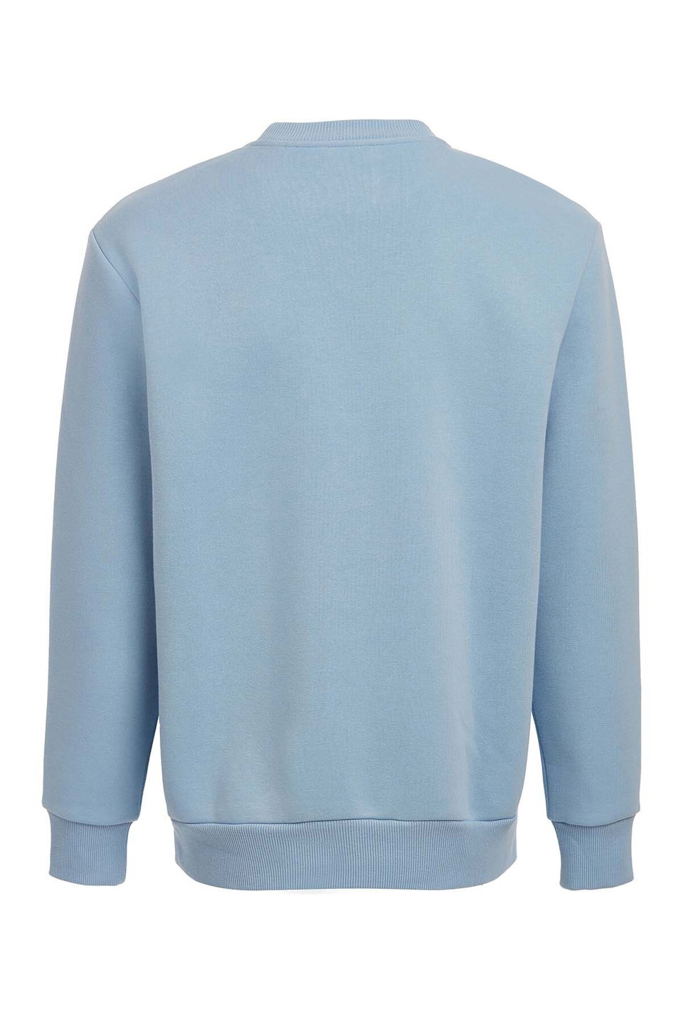 Travis Men's Organic Fabric Soft Regular Fit Round Neck Sweatshirt