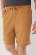 Camel*003