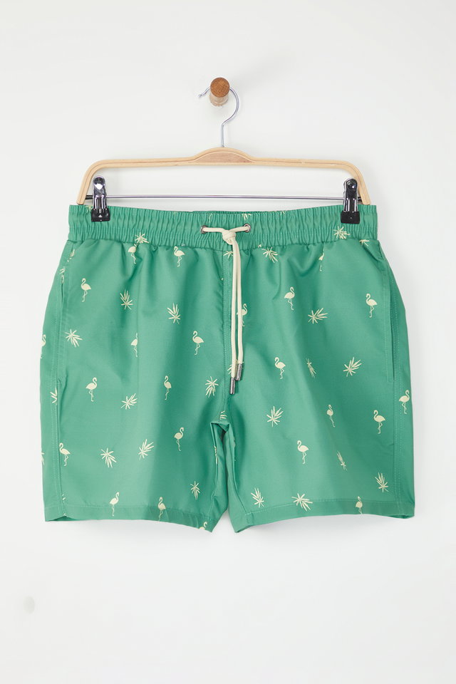 Green - Salmon Tropical Printed Standard Size Swimsuit Swim Shorts TMNSS21DS0021