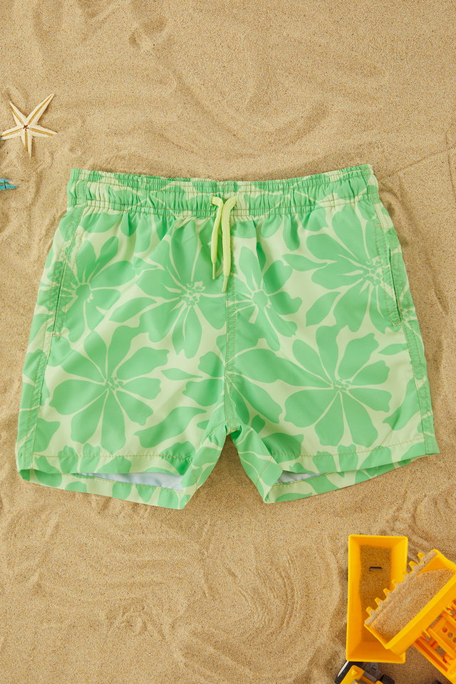Green - Yellow Boy's Ice Cream Printed Swim Shorts TKDSS25DS00000
