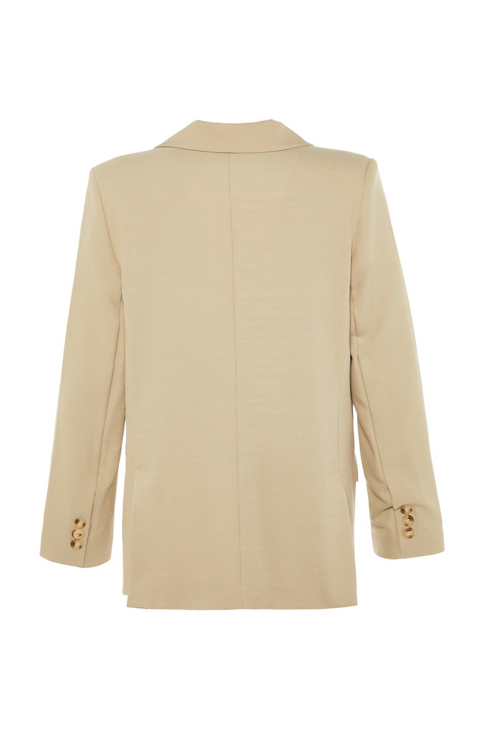 Limited Edition Regular Lined Woven Blazer Jacket TWOAW23BC00132