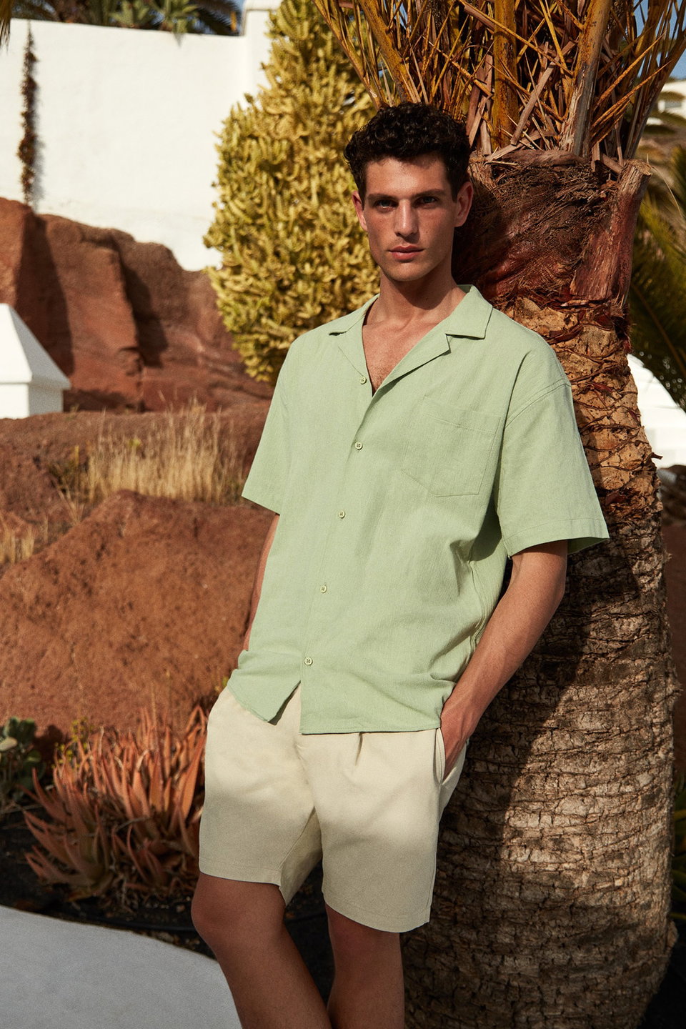 Regular Fit Canvas 100% Cotton Shorts & Bermuda TMNSS23SR00074